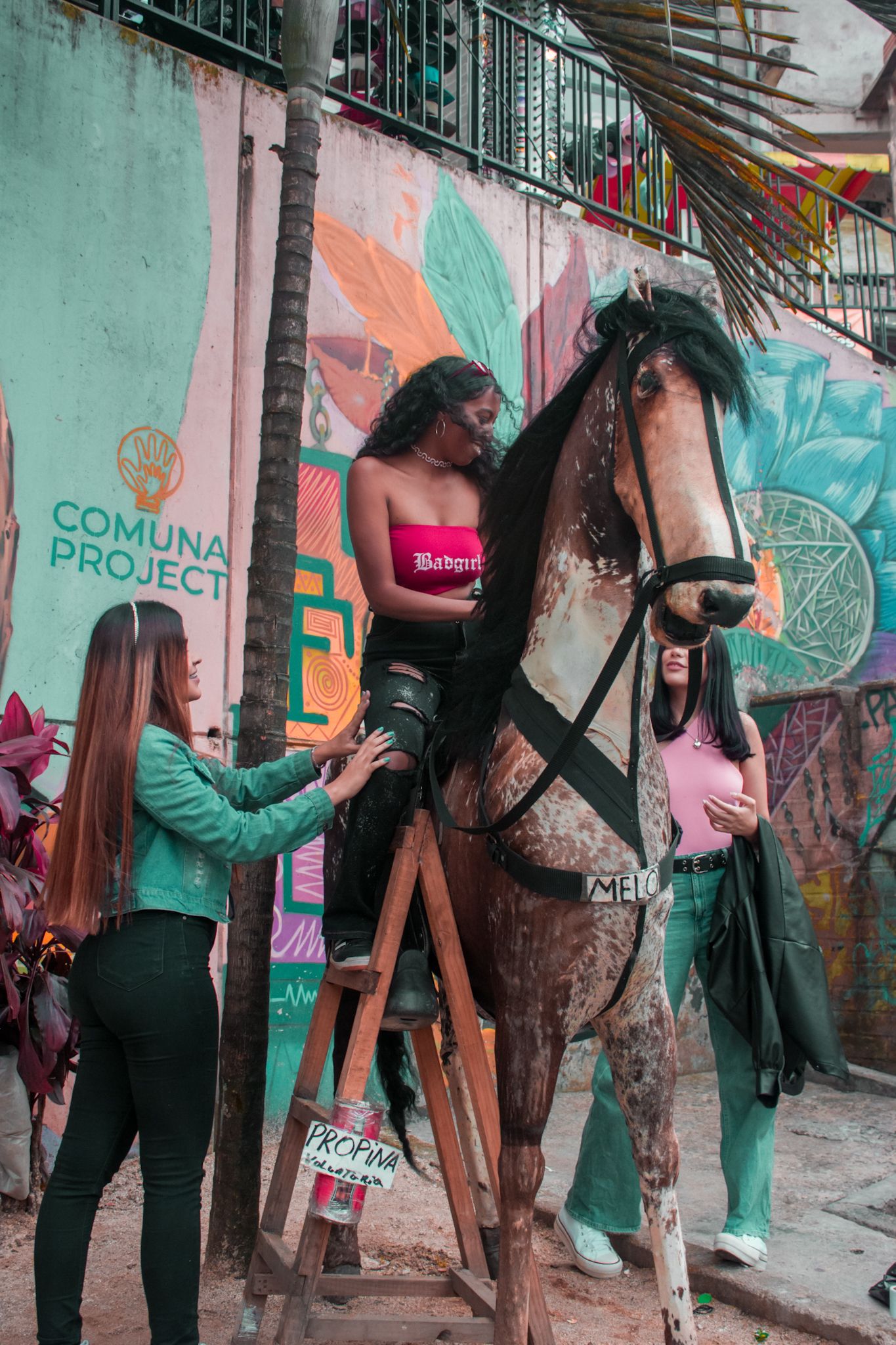 Medellin VIP Tour Gallery