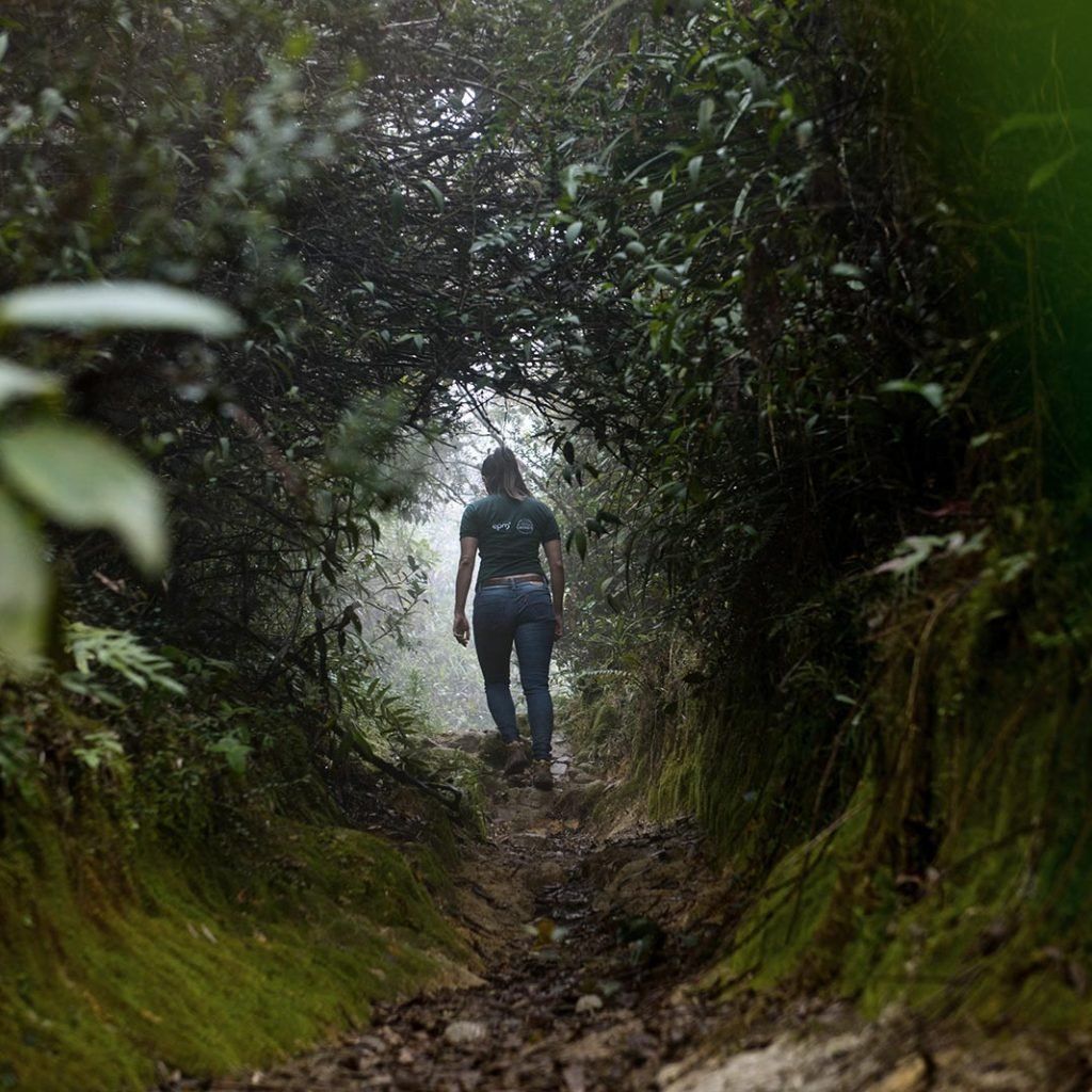 hiking medellin