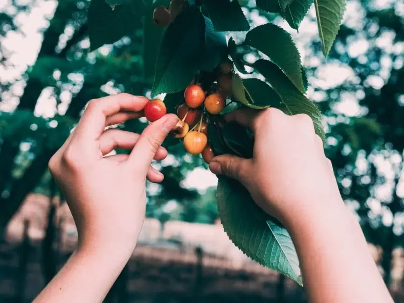Medellin VIP Tour Gallery
