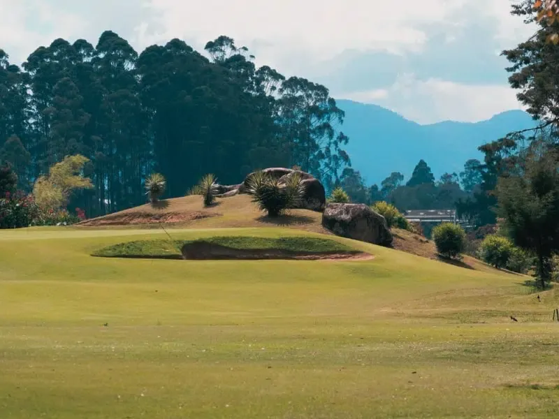 Medellin VIP Tour Gallery